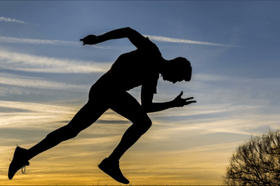 郑钦文因伤退赛，提前结束2026赛季